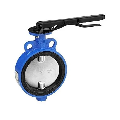 Stainless Steel 304 Butterfly Valve